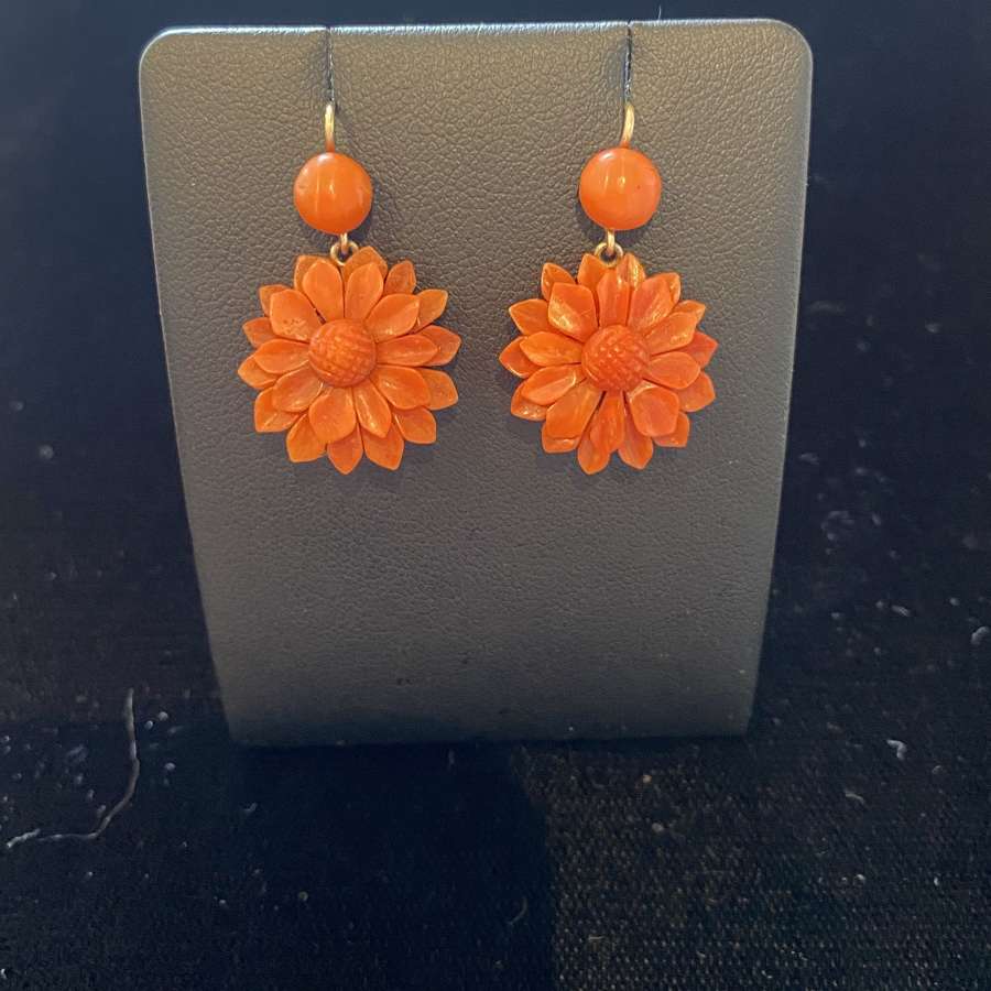 Coral Flowers